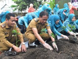 Pj Bupati OKI dan Ketua TP PKK Tanam 250 Bibit Cabai